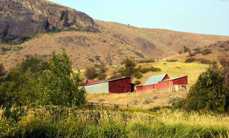 rolling pastures and hills, scenic